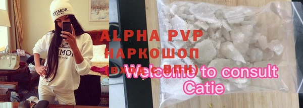 стаф Арсеньев