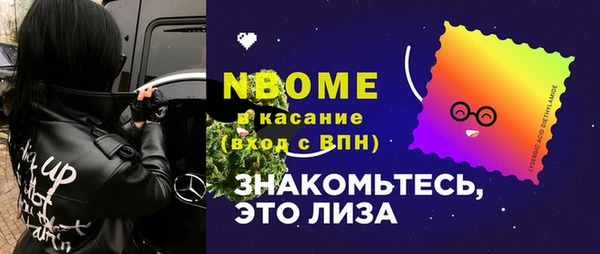 стаф Арсеньев