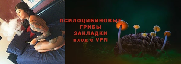 бутират Переславль-Залесский