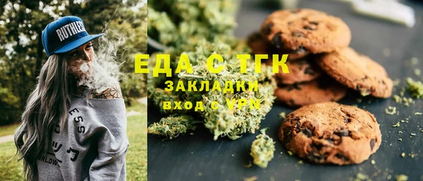 стаф Арсеньев