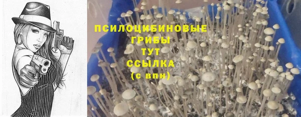MDMA Premium VHQ Армянск