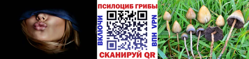 omg вход  Зея  Галлюциногенные грибы мицелий 